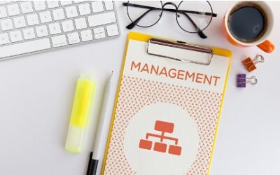 Hello Aspiring HR Managers! Check the Qualifications You Need to Succeed